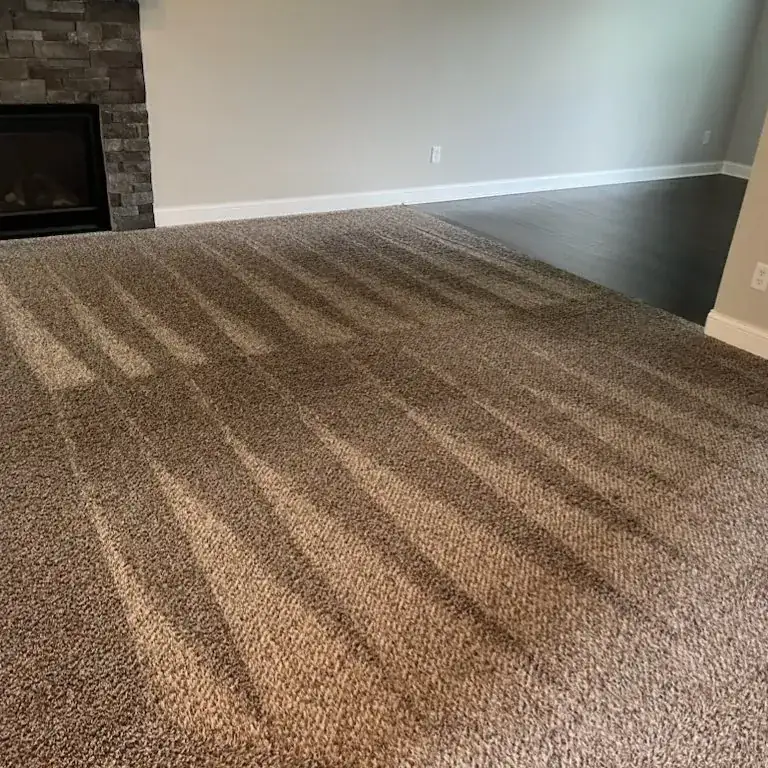 Carpet Cleaning